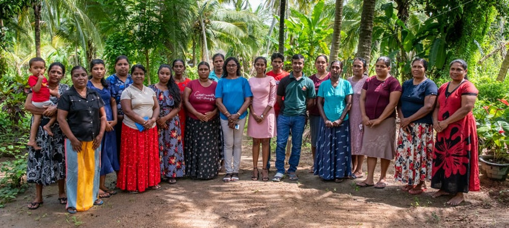 Large groups of Sri Lanka women, mushroom farmers highlighted in Sri Lanka's Inclusion Story