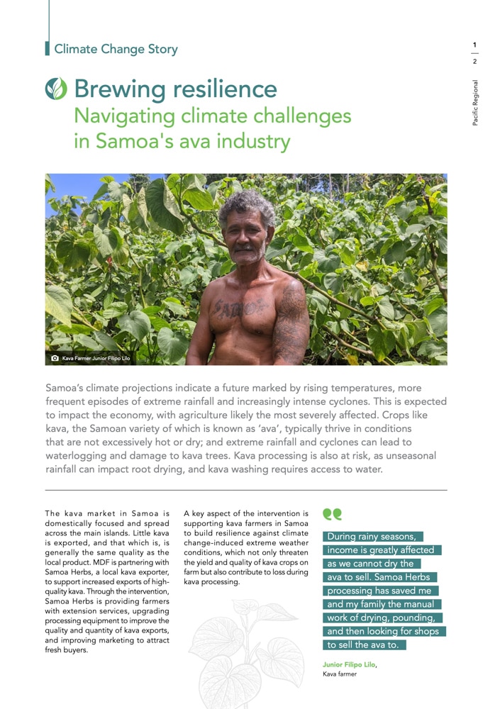 Samoa's climate change story on Brewing resilience, navigating climate challenges in Samoa's ava industry.