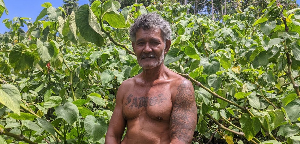Samoan kava Farmer stands proudly in front of his kava plantation.