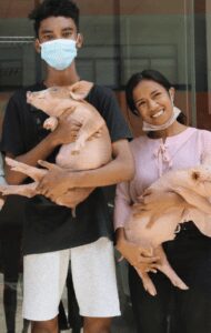 MDF is working in Timor-Leste to stimulate investment and encourage business growth through business such as pig farming.