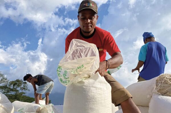 Covid Case Studies - Timor-Leste Market Development Facility Timor-Leste worked with partners to help cope with a diverse range of setbacks in 2020 most notably for coffee exports and agri-input imports.