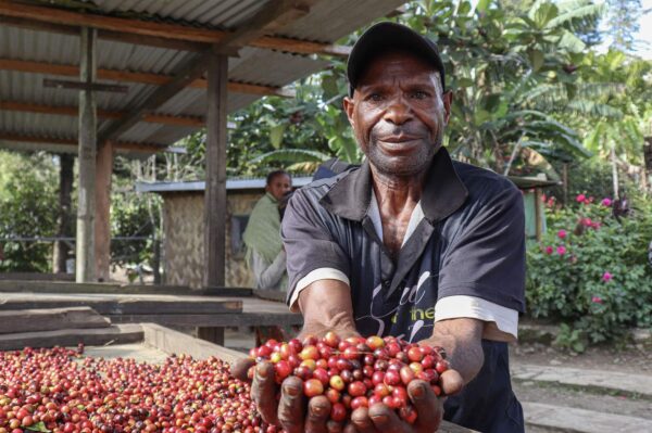 A man with a handful of coffee beans, representing Papua New Guinea in the news for BeanScene Magazine.