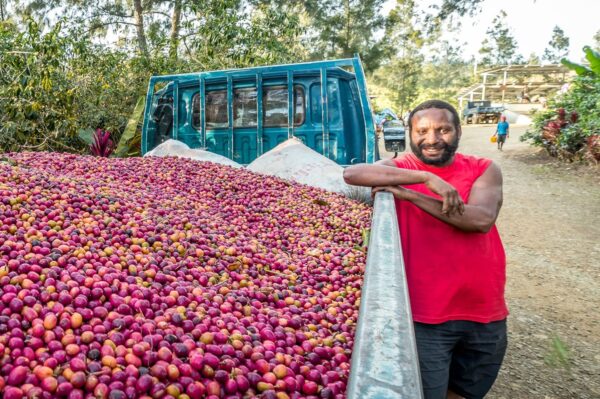 A man stands beside a truck filled with coffee beans, showcasing the rich harvest ready for distribution in PNG.
