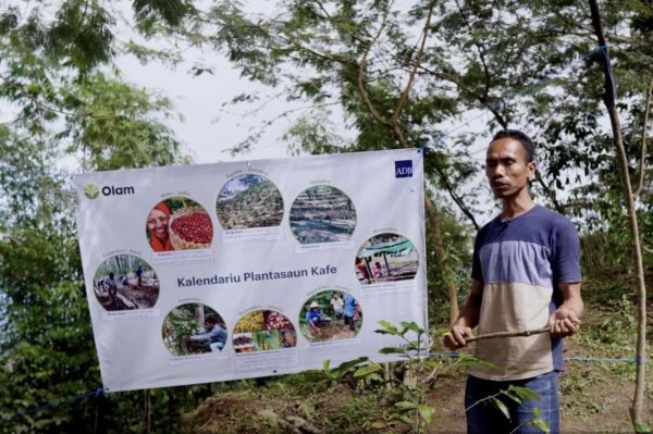 A man holds a sign in front of coffee trees, as shown in the video on coffee tree rehabilitation in Timor-Leste.