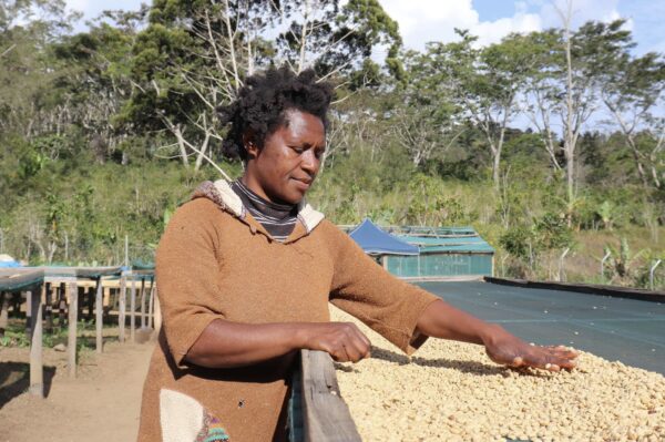 A woman from Riverside Coffee sorts green coffee beans as showcased in the video 'Single-Origin Coffee, Riverside Coffee'.