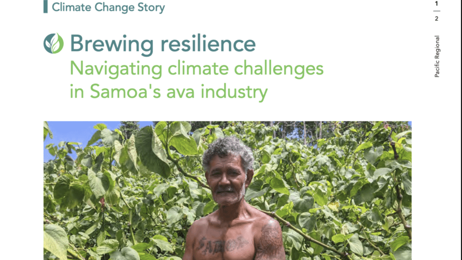 Ava farmer standing among leafy plants in Samoa.