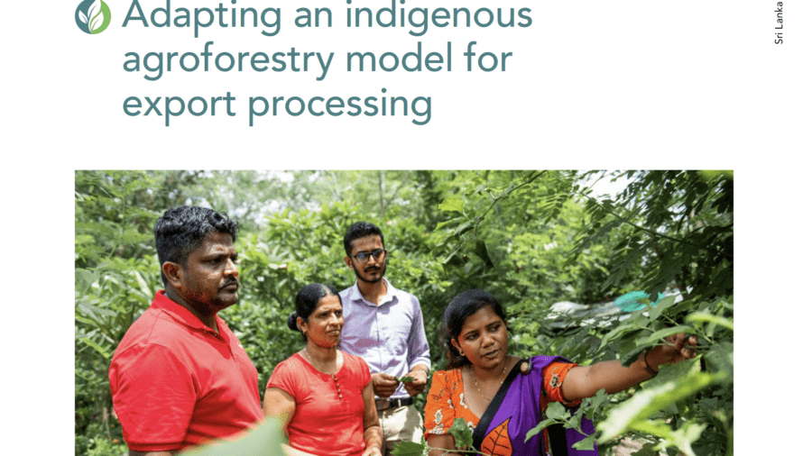 Group inspecting crops in a Sri Lankan agroforestry setting.