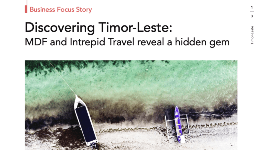 Aerial view of boats on a beach along the coast of Timor-Leste.