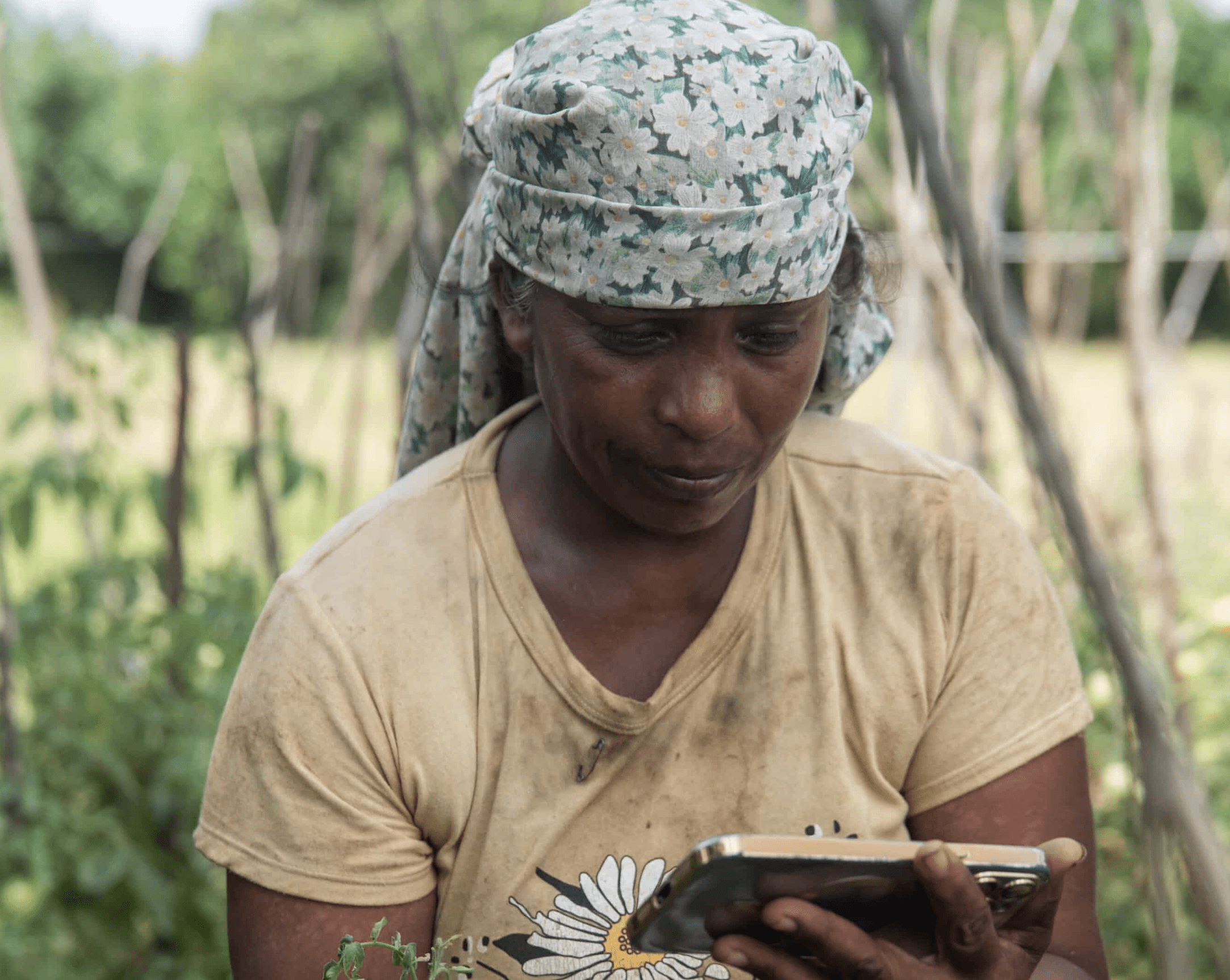 Woman farmer using a smartphone in an agricultural field in Sri Lanka.