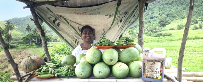 Woman selling vegetables and liquid compost at a roadside produce stall in Fiji.