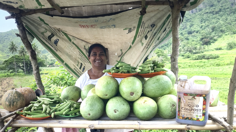Woman selling vegetables and liquid compost at a roadside produce stall in Fiji.