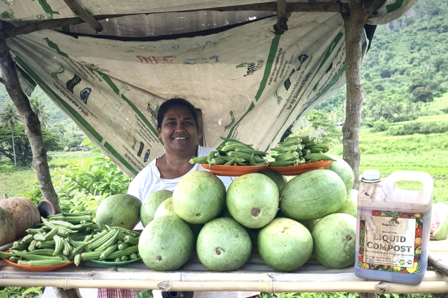 Woman selling vegetables and liquid compost at a roadside produce stall in Fiji.