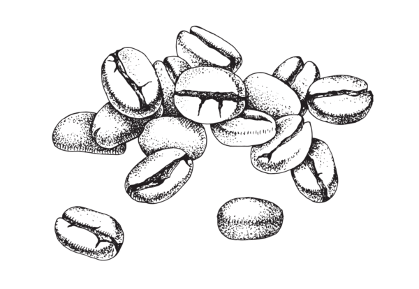 Coffee-Beans