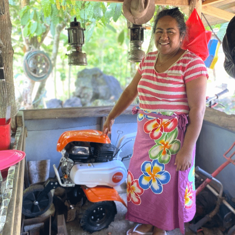 Inclusion-Samoa