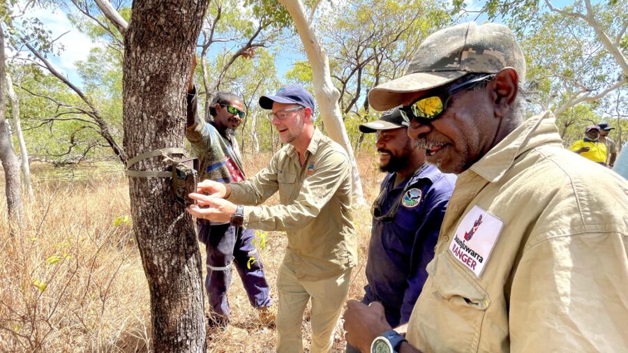 Rangers and partners inspecting a monitoring device attached to a tree in bushland.