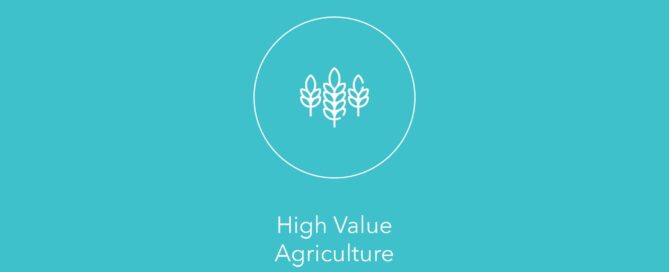 With Market Development Facility's support, Over 2,500 farmers are benefiting through improved product development of Fijian agricultural exports for new markets