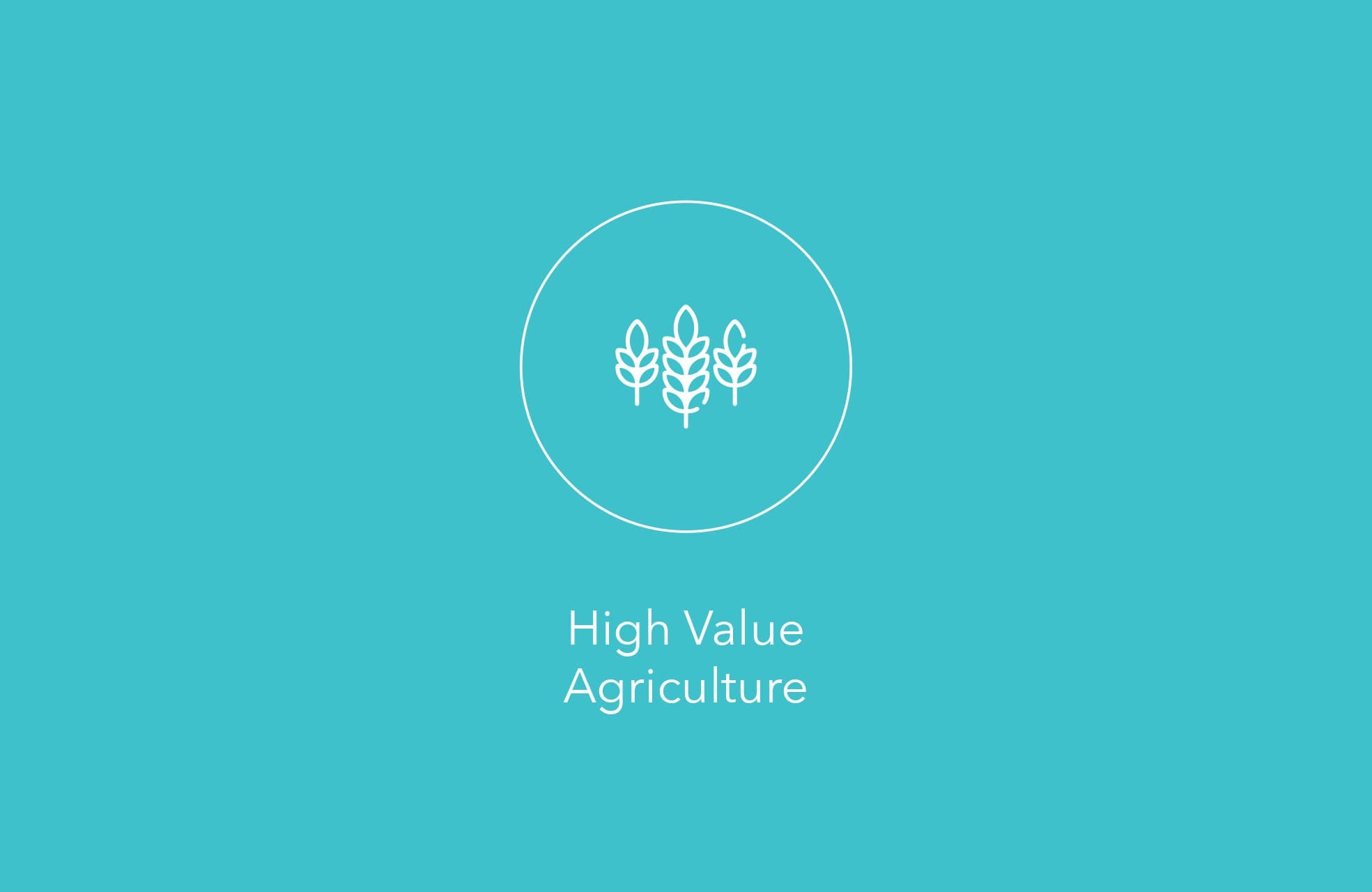 With Market Development Facility's support, Over 2,500 farmers are benefiting through improved product development of Fijian agricultural exports for new markets