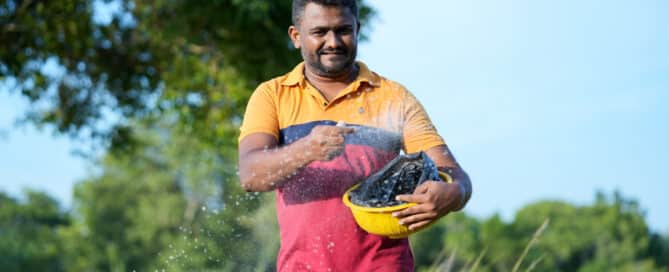 Man spreading fertiliser by hand in a green field in Sri Lanka.