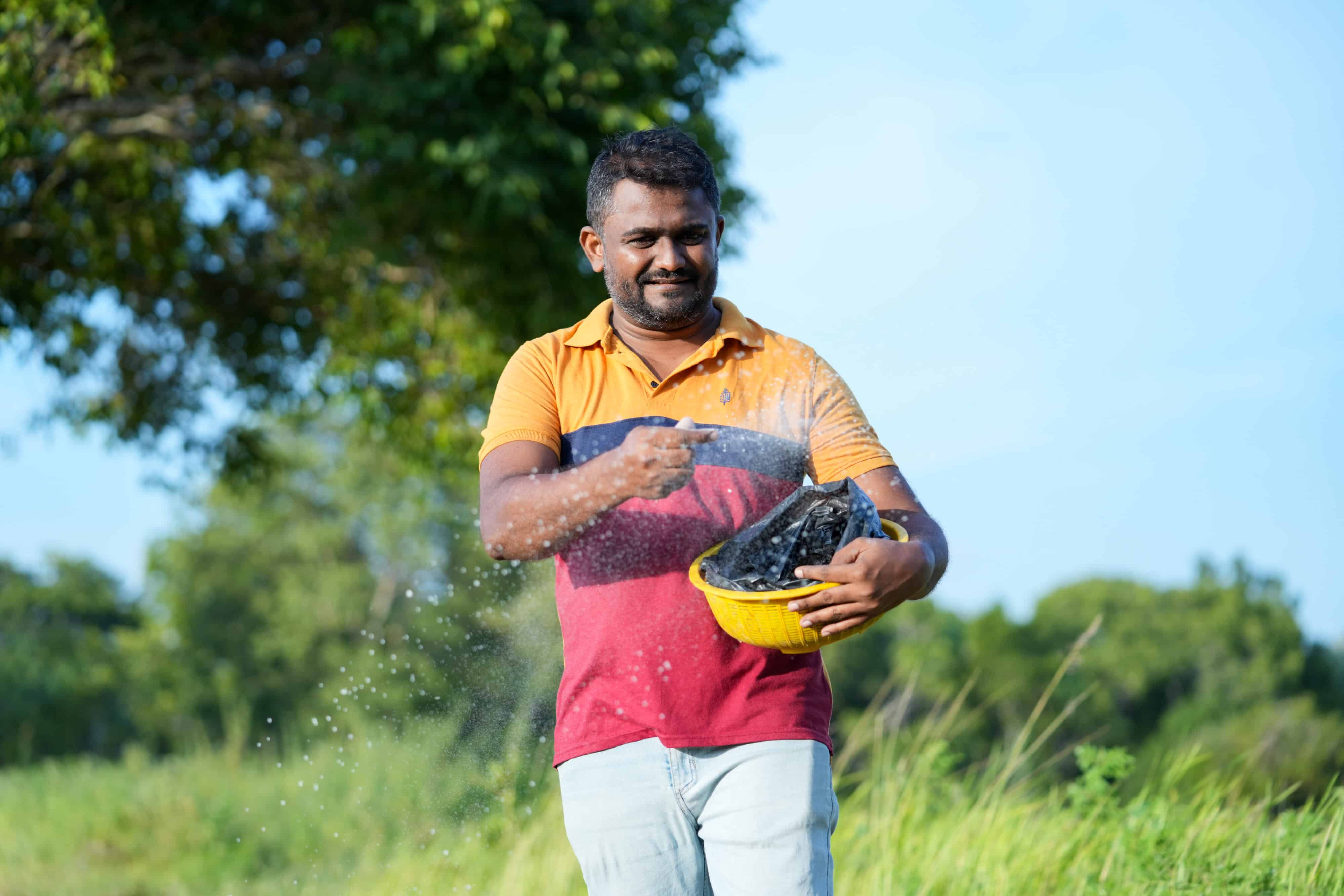 Man spreading fertiliser by hand in a green field in Sri Lanka.