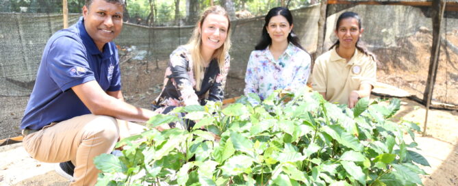 Four people from the Australian high commission and MDF pose with plants in a garden during their visit to Hint Newark Eliya.