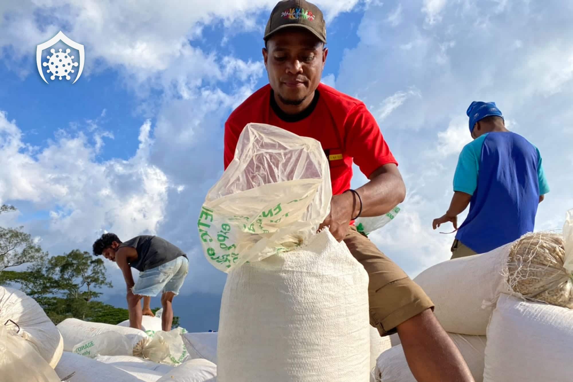 Workers packing large sacks outdoors under a cloudy sky in Timor-Leste.
