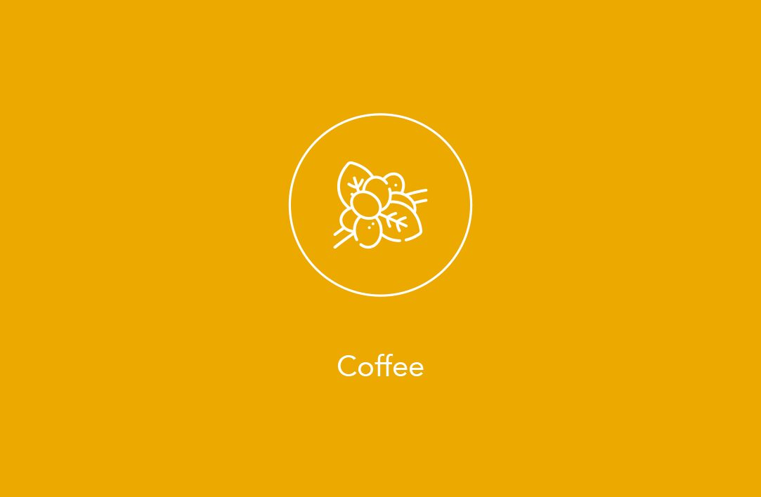 White line icon of coffee cherries and leaves above the text “Coffee” on a yellow background.