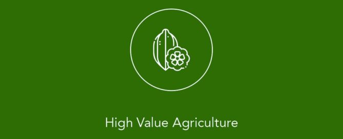 White line icon of a carob pod above the text “High Value Agriculture” on a green background.