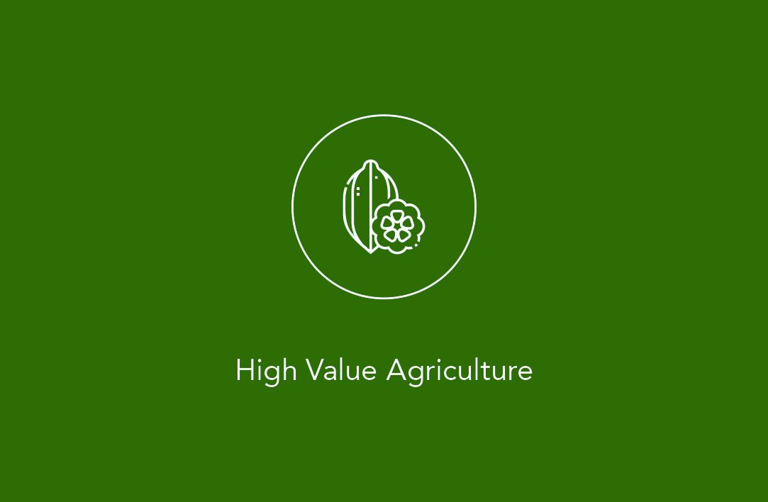 White line icon of a carob pod above the text “High Value Agriculture” on a green background.