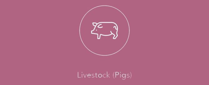 White line icon of a pig above the text “Livestock (Pigs)” on a pink background.
