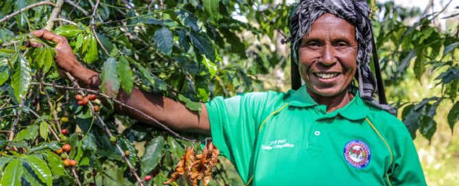 Woman standing beside coffee plants with ripe coffee cherries in Papua New Guinea.