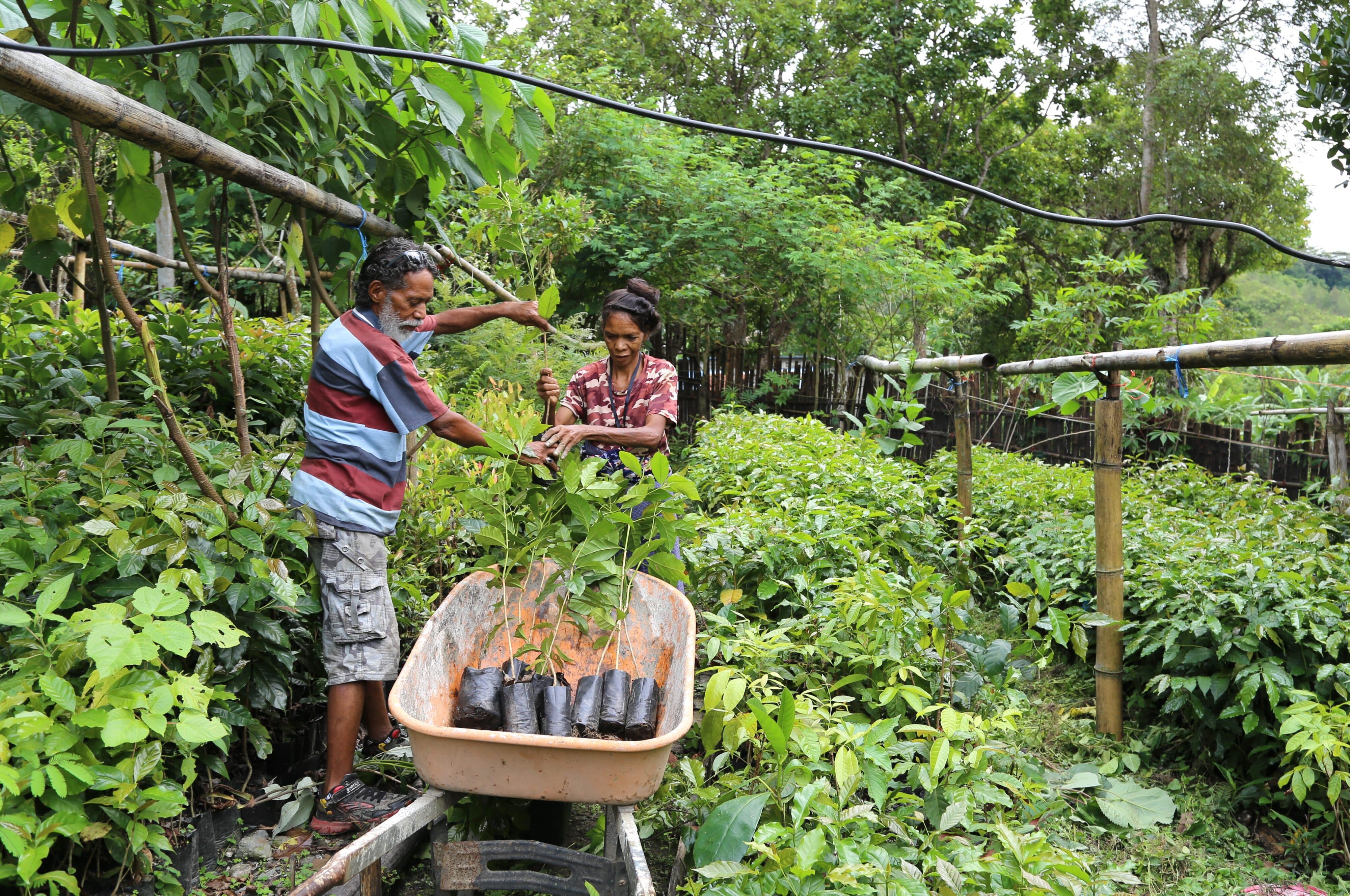 Timor-Leste_Climate Change Timor-Leste_Climate Change