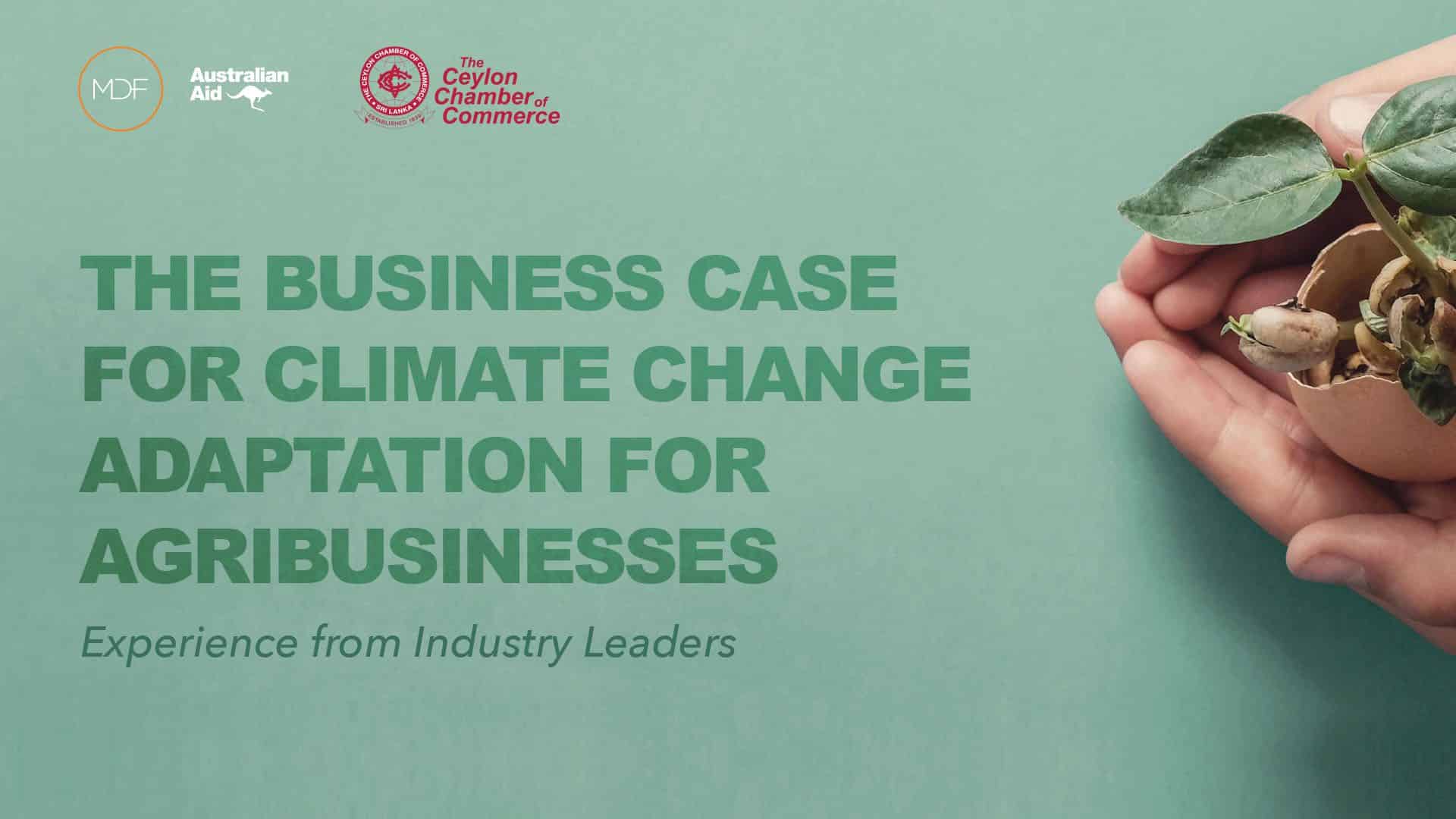 Graphic showing a hand holding a seedling beside text on climate change adaptation for agribusinesses.