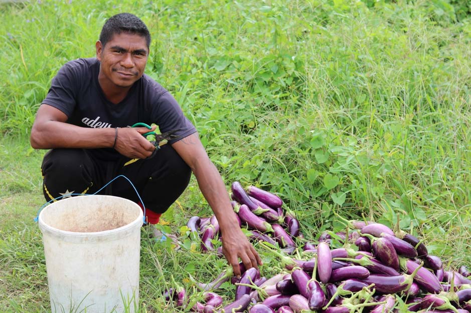 Now in its second phase, MDF Timor-Leste continues to work with entrepreneurs to build new markets, encourage investment and deepen engagement.